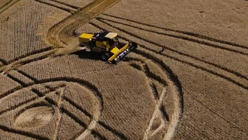 Trator destruindo o agroglifo de 2025 em Ipuaçu (SC), NSC Total